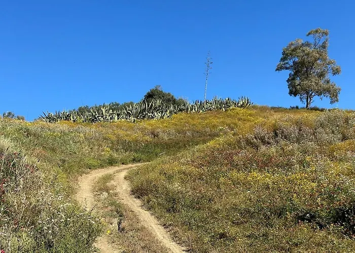 Lägenhet La Gallinaia With Bathroom